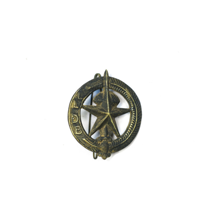 Insigne de beret metal  LLDB speciales forces ARVN bo 44