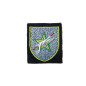 Insigne tissu 2 DIM  division infanterie Maroc ref bo 177 