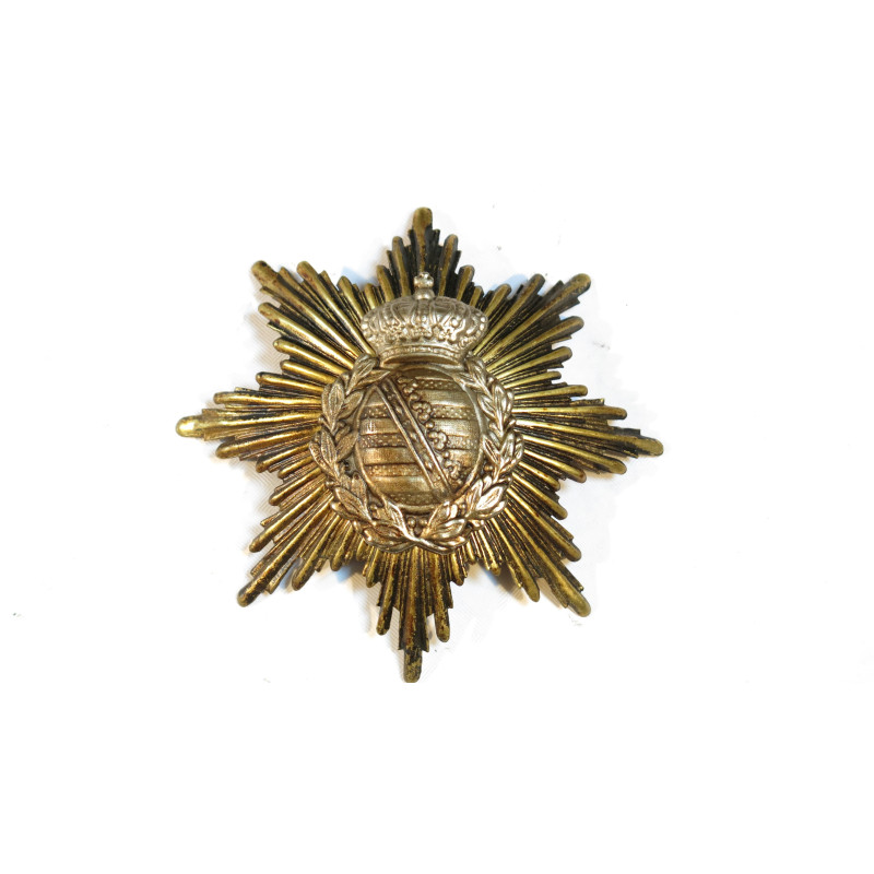 Plaque Saxonne de casque a pointe bo 190