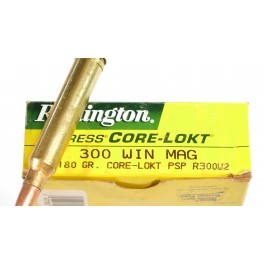 300 Winchester magnum Remington
