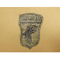 Patch 101 st Airborne 187 th Inf  Vietnam ref 40  bo 146