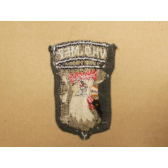 Patch 101 st Airborne Vietnam  Who Me réf 19 bo 146