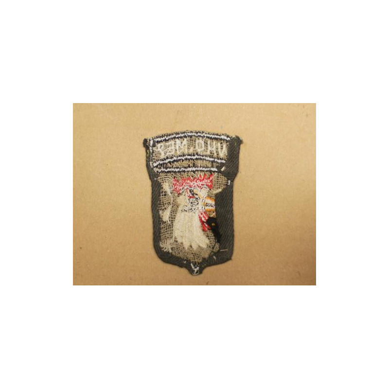 Patch 101 st Airborne Vietnam  Who Me réf 19