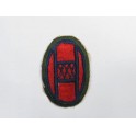 Patch 30 th Division