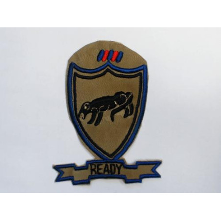 Patch 505th Airborne Rgt  READY