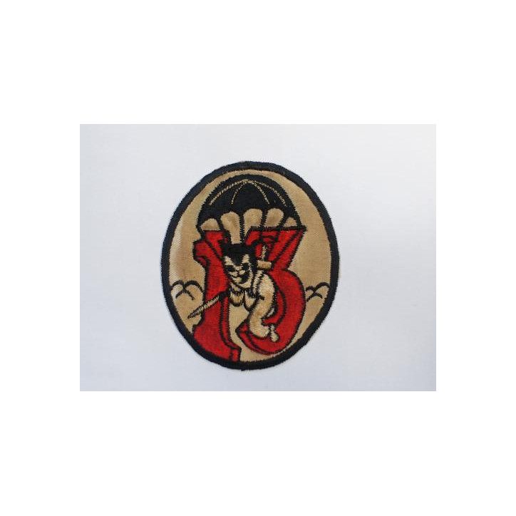 Patch 513 AIRBORNE