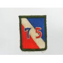 Patch 75 th Division
