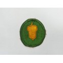 Patch 87 th Division
