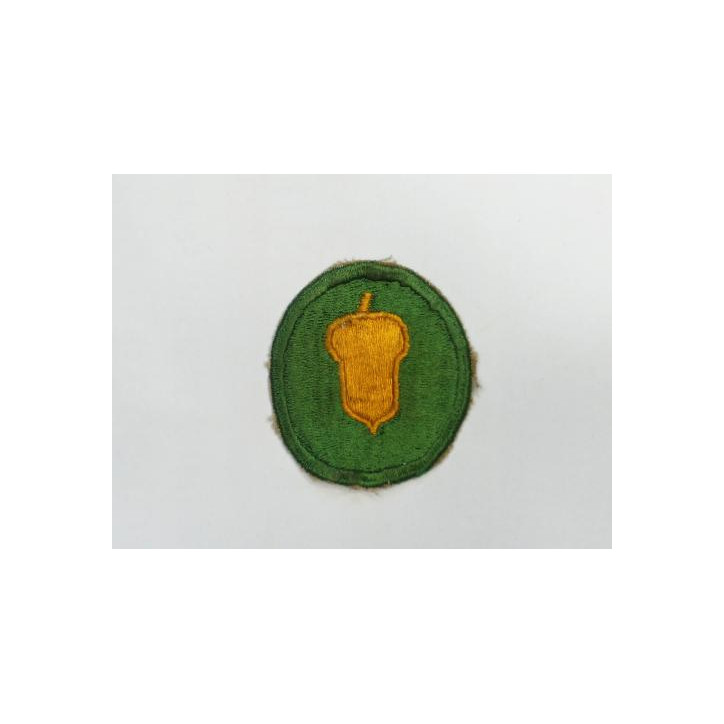 Patch 87 th Division