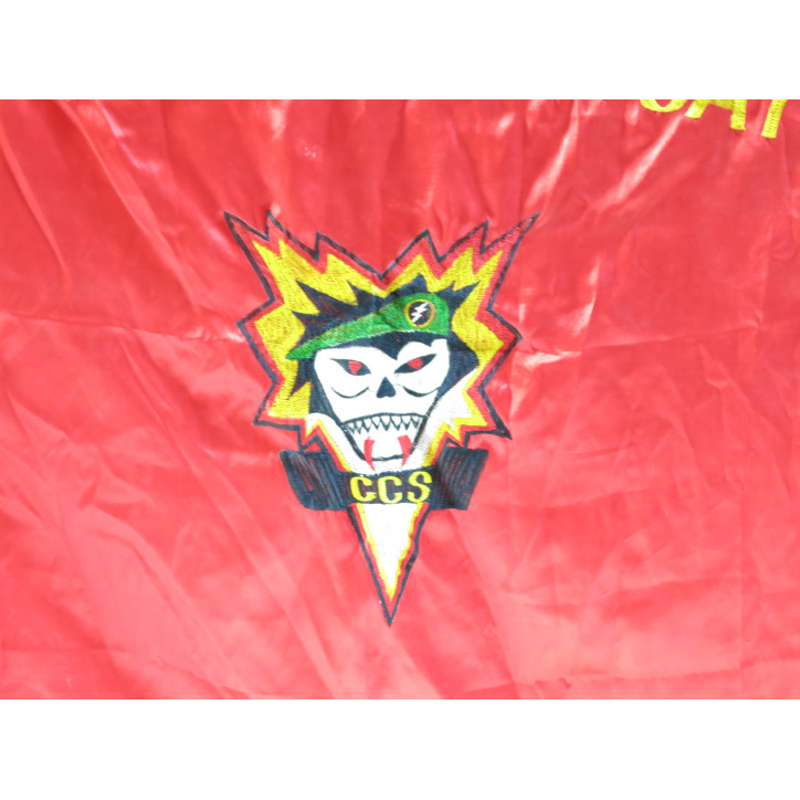 Drapeau Special forces ARVN Ref dr 458