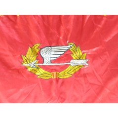 Drapeau Rangers ARVN Ref dr650
