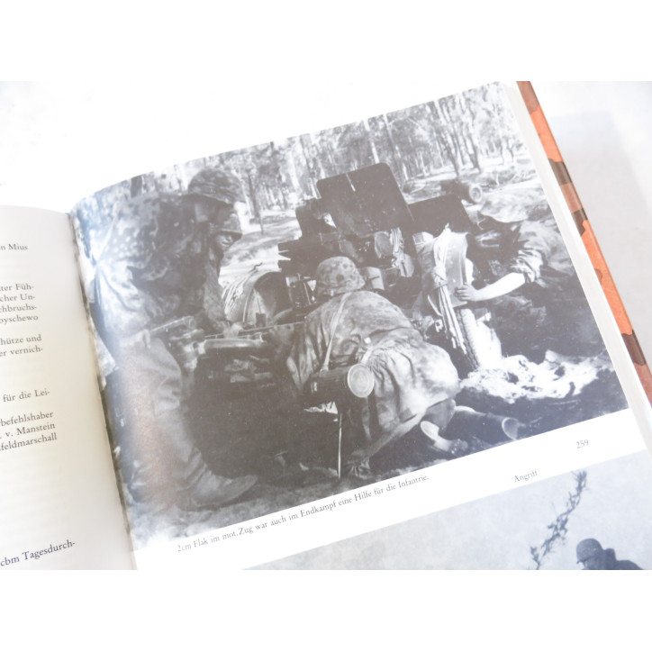 Livre ein Fels im Meer et2