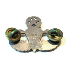 Brevet parachutiste US master