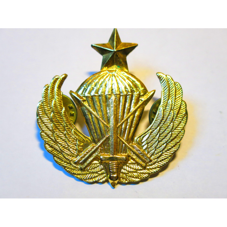 Brevet parachutiste US speciales forces  Ref bo12
