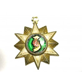Medaille de campagne Sud Vietnam sans ruban Ref bo12 
