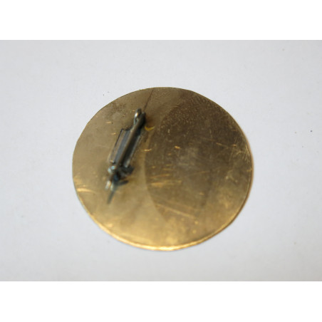 Insigne Force exploration Luc Luong ARVN Vietnam ref bo 13 new