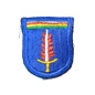 Insigne tissu  de beret 5th Special forces Airborne 