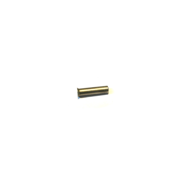 Axe blocage de ressort de  talon  Colt 45 1911 A1 ref 10