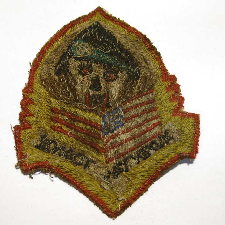 Insigne tissu US Vietnam  Xuyentam toan  ref bo 22