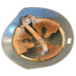 Casque Suisse modèle 1945 ref ca 65