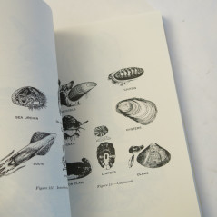 Book Survival US army FM 21-76 