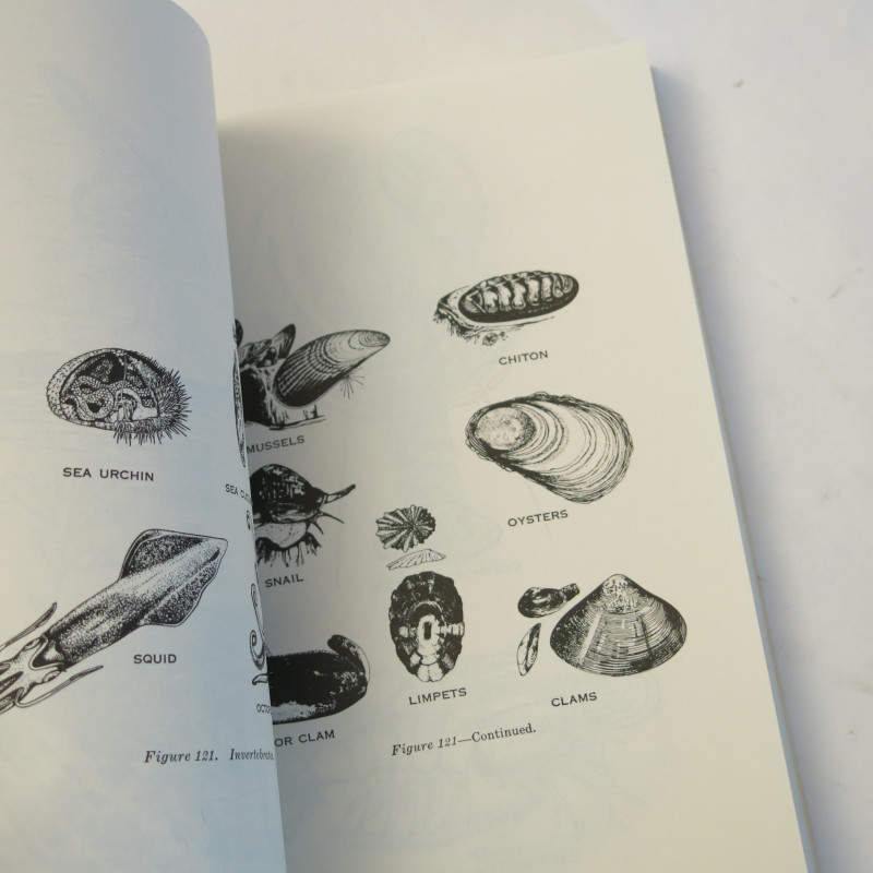 Book Survival US army FM 21-76 