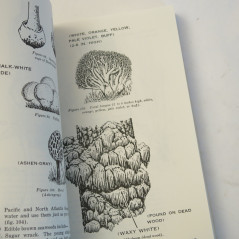 Book Survival US army FM 21-76 