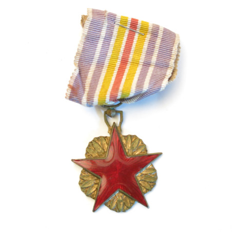 Médaille des blessés émaillée Indo Réf bo 12 un