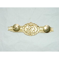 Badge de specialité Allemand DDR trasmission