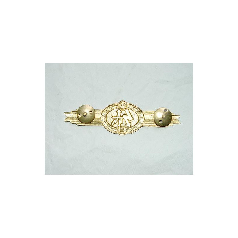 Badge de specialité DDR trasmission