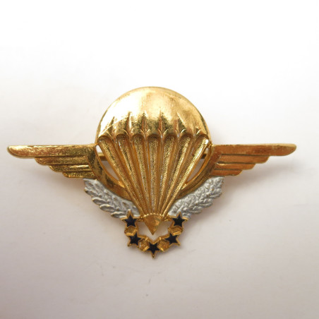 Brevet para Français chuteur opérationnel