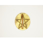 Insigne Adrian  étoile chérifienne