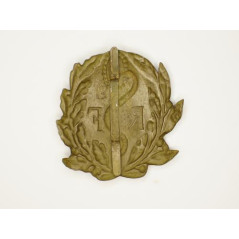 Insigne Adrian Santé 14/18