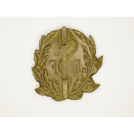 Insigne Adrian Santé 14/18