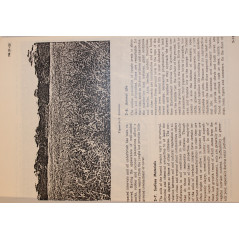 Livre Department of the army field manual FM 31-35 Jungle Operations et22