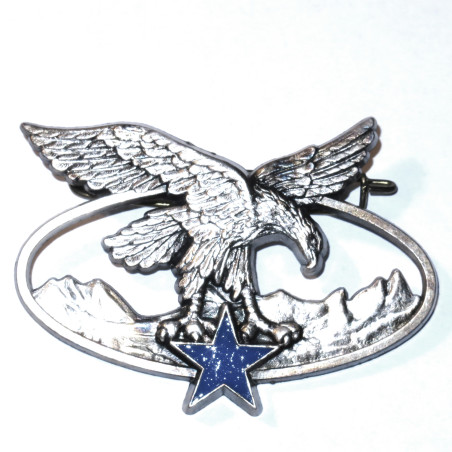 Insigne Drago metal brevet troupe de montagne argent  bo37