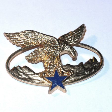 Insigne Drago metal brevet troupe de montagne OR   bo37