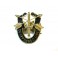 Insigne metal US de beret 1st speciales forces  Ref bo4