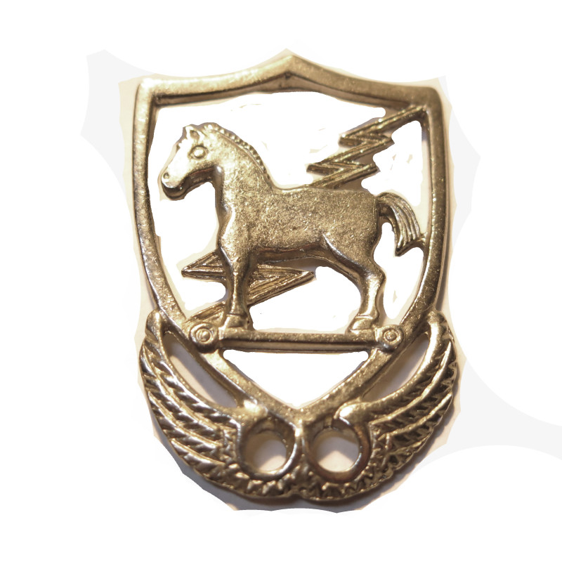 Insigne de beret US Vietnam 10 th Special forces 