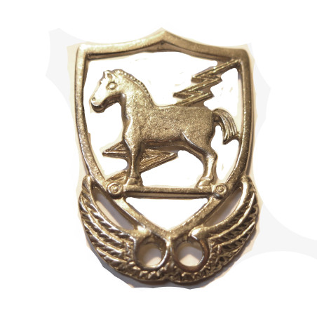 Insigne métal de beret US Vietnam 10 th Special forces