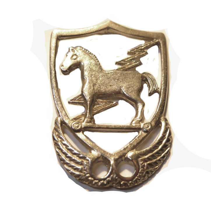 Insigne de beret US Vietnam 10 th Special forces 