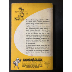 Livre Rommel : Le renard du désert de P. Bourtembourg