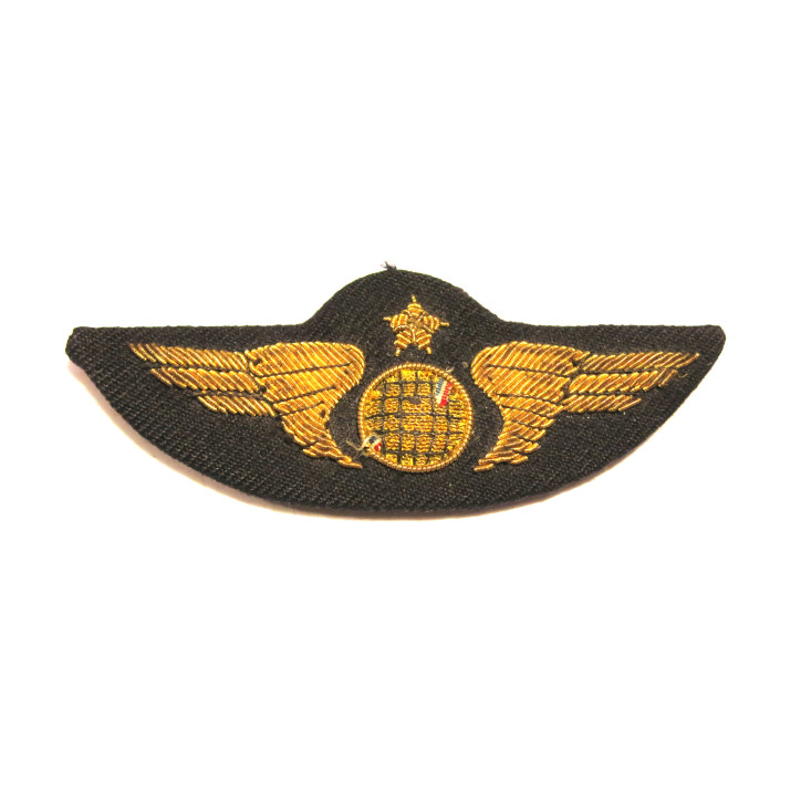 Insigne cannetille Aviation   ref bo39