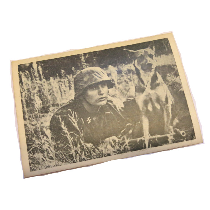 Carte postale Waffen  ref bo doc
