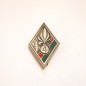 Insigne 4 regiment infanterie etranger Balmé  ref bo 41 
