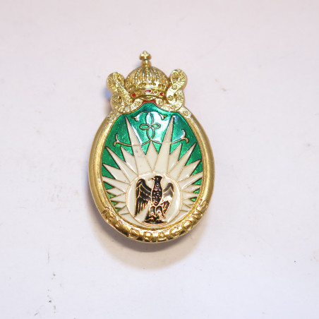 Insigne 13 regiment de Dragons ref bo 42 