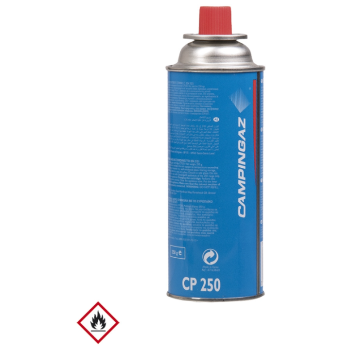 Cartouche de gaz butane 250g 