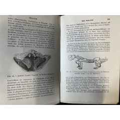 Livre introduction à la géologie de J. Leuba