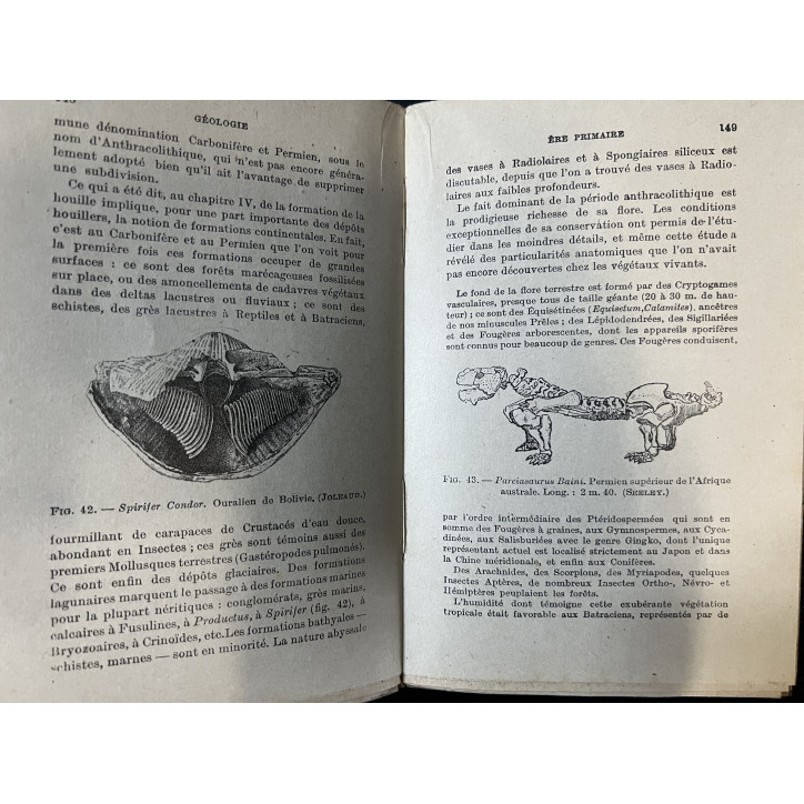 Livre introduction à la géologie de J. Leuba
