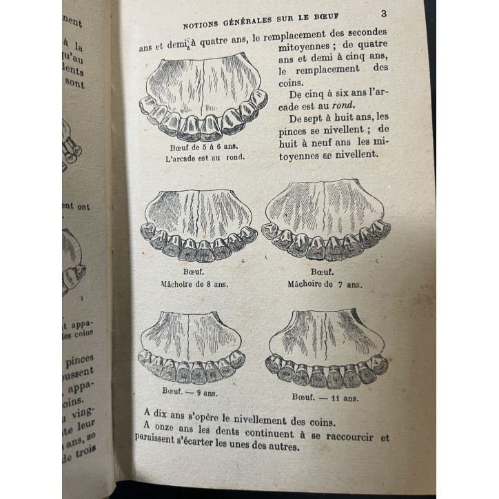 Livre Guide vétérinaire du cultivateur 